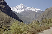 Inca Trail, Cusichaca Valley with the snow capped peak of Veronica in sight. 